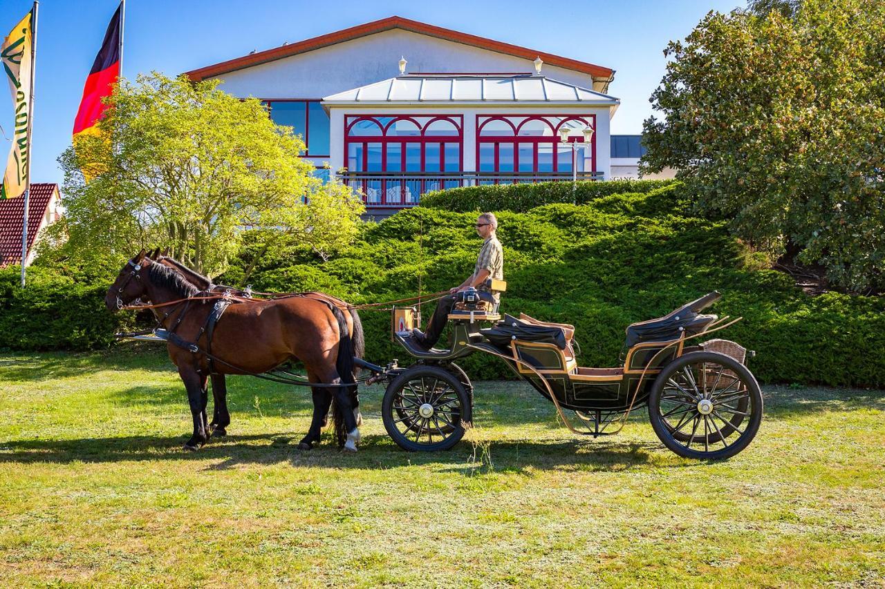 Hotel Am Gothensee Heringsdorf  Extérieur photo